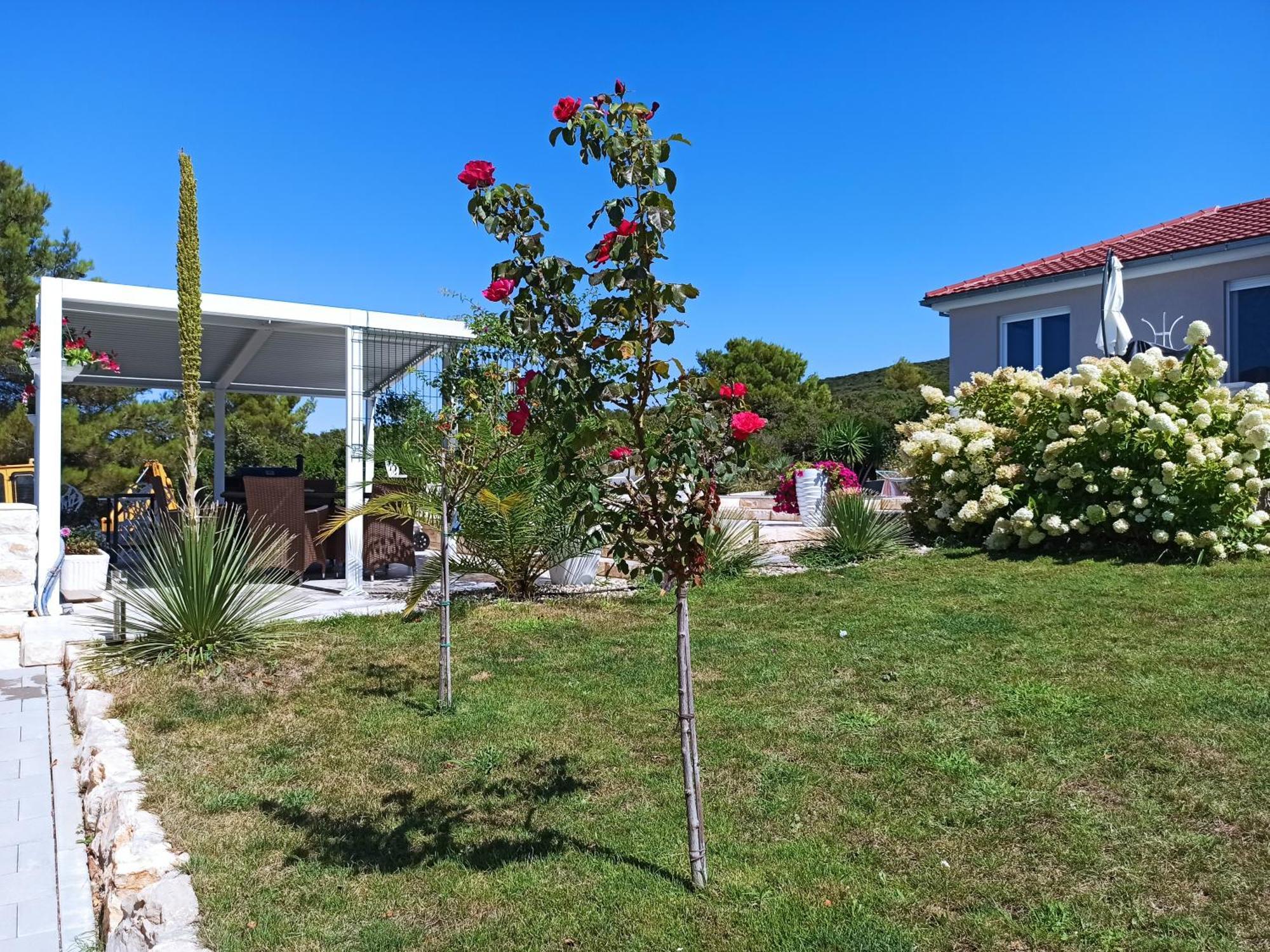 Adriaapart Vip Apartament